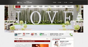 北京網(wǎng)站建設(shè)與推廣 案例展示與整合營(yíng)銷實(shí)踐